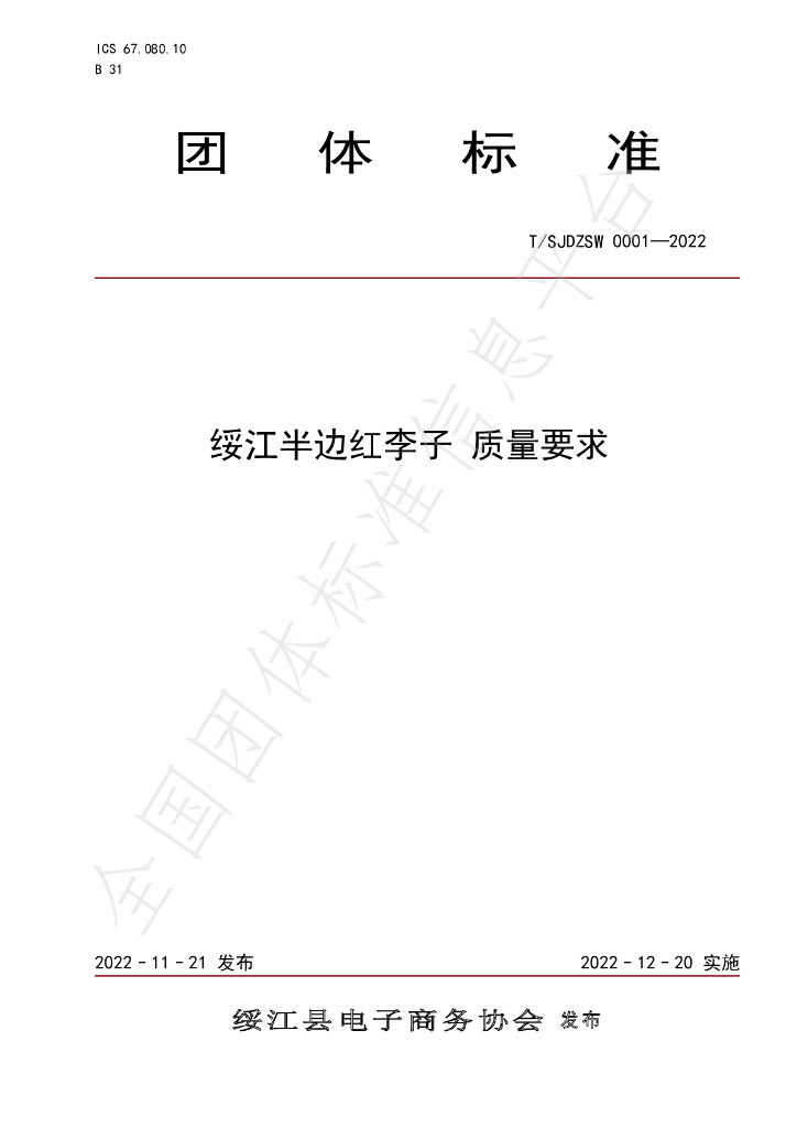 T/SJDZSW 0001-2022 标准预览