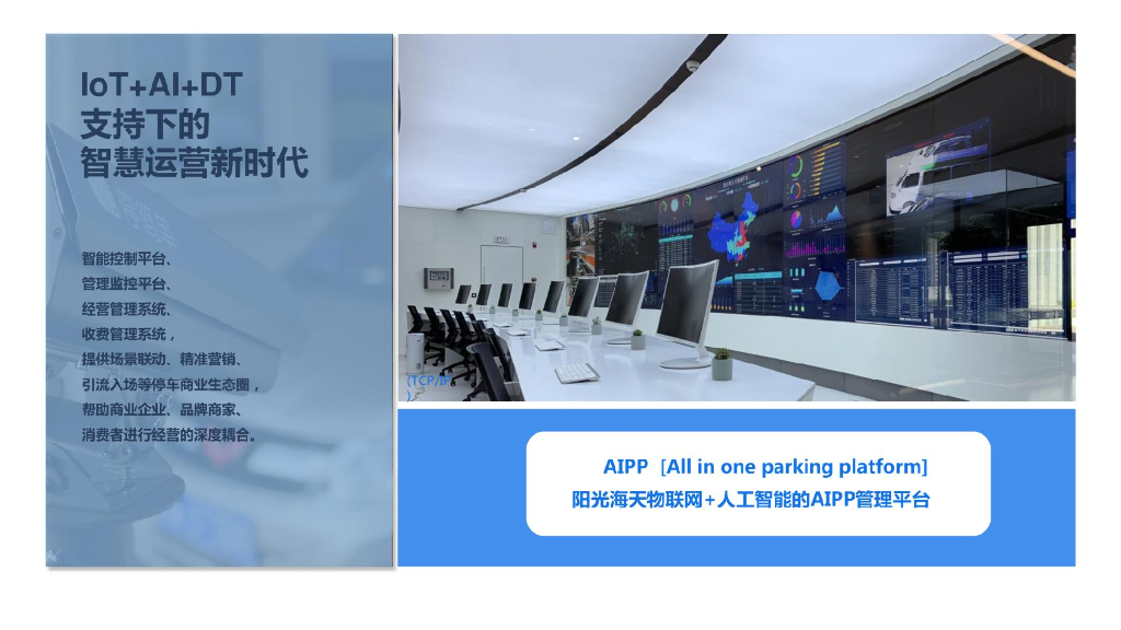 智慧停车赋能智慧出行-智慧停车项目建议书_第10页