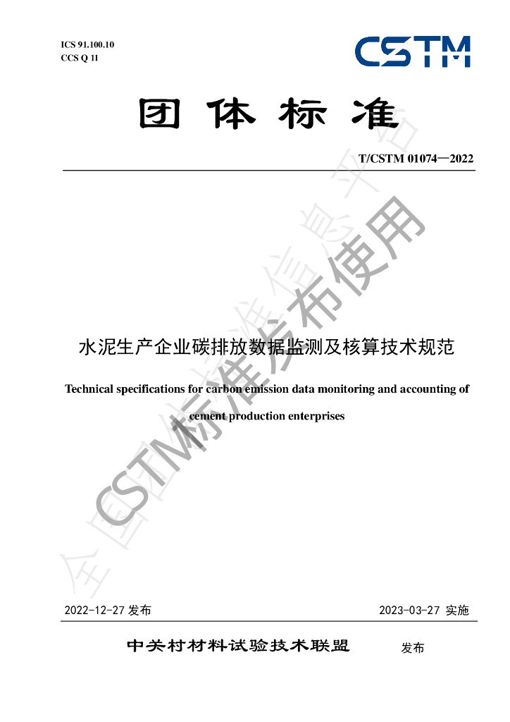 T/CSTM 01074-2022 标准预览