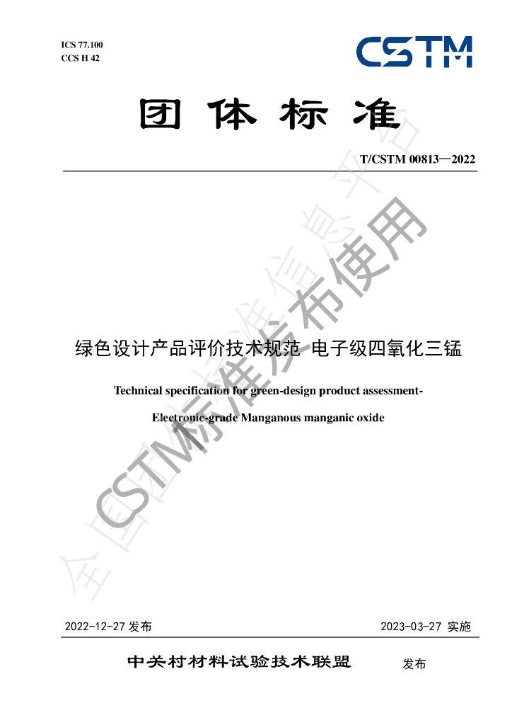 T/CSTM 00813-2022 标准预览