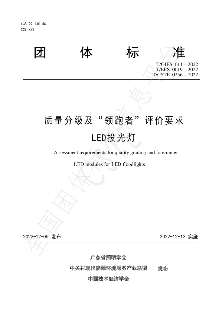 T/GIES 011-2022 标准预览