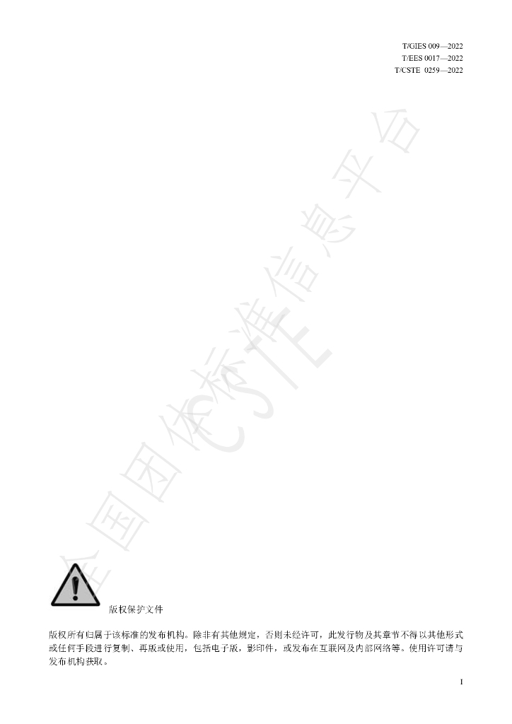 T/GIES 009-2022 标准预览