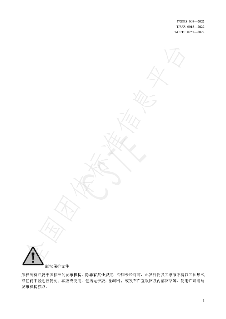 T/GIES 008-2022 标准预览