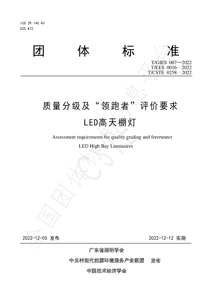 T/GIES 007-2022 标准预览