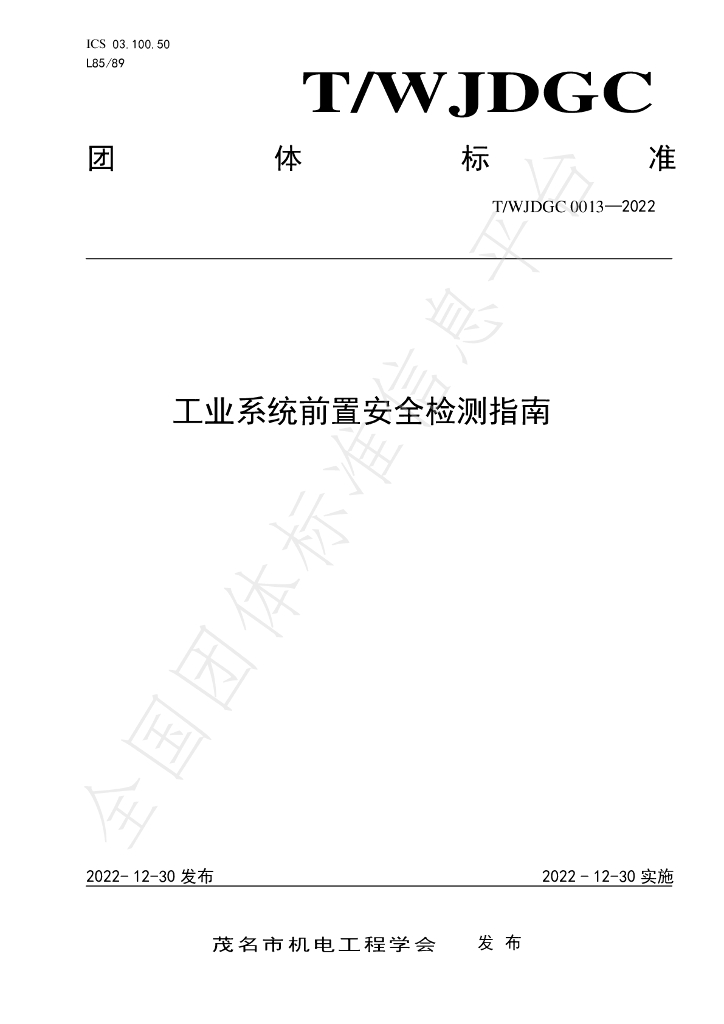 T/WJDGC 0013-2022 标准预览