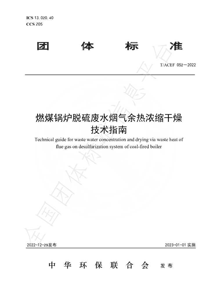 T/ACEF 052-2022 标准预览