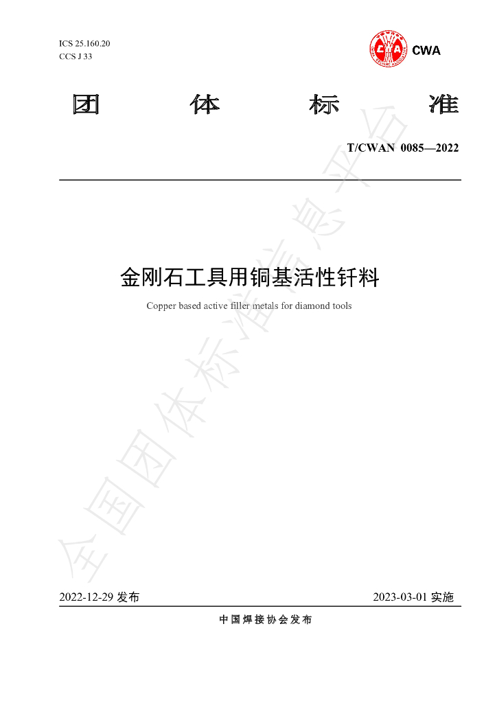 T/CWAN 0085-2022 标准预览
