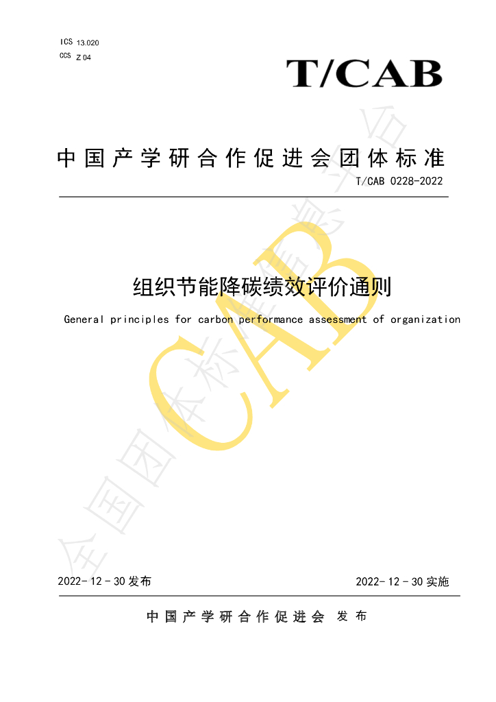 T/CAB 0228-2022 标准预览