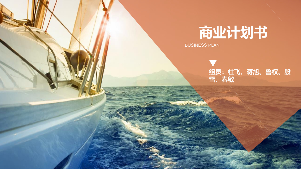 宠物店创业计划-商业计划书