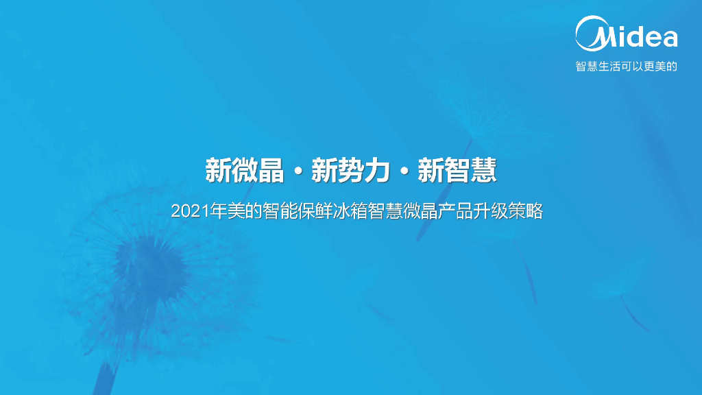 2021海尔智能冰箱智慧微晶产品升级营销策略方案