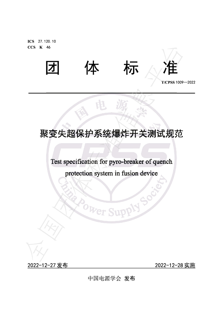 T/CPSS 1009-2022 标准预览