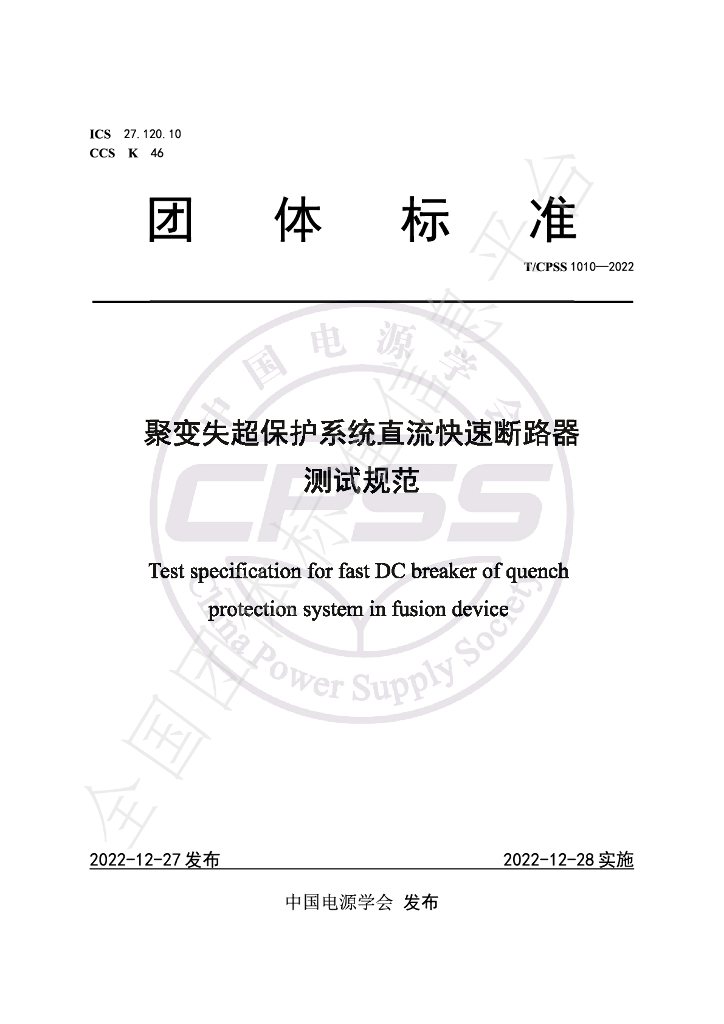 T/CPSS 1010-2022 标准预览