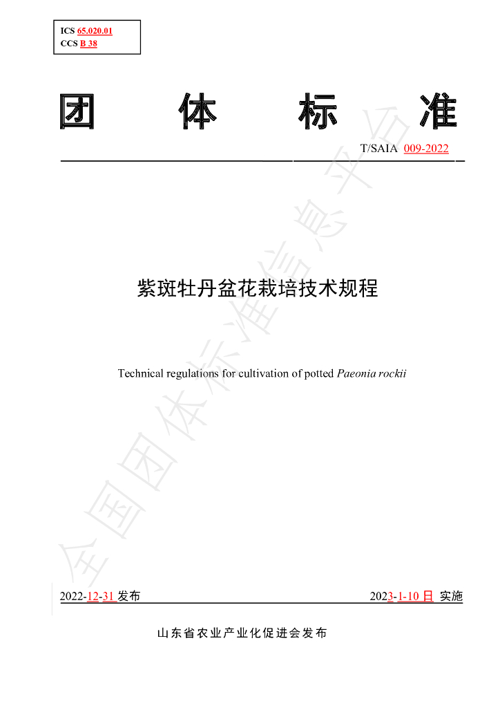 T/SAIA 009-2022 标准预览