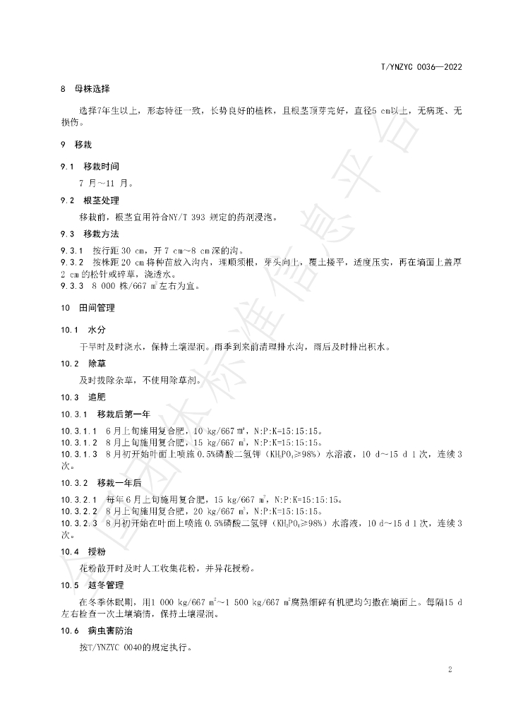 T/YNZYC 0036-2022 标准预览