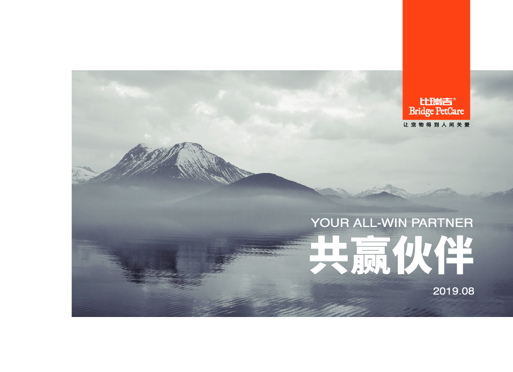 比瑞吉公司简介