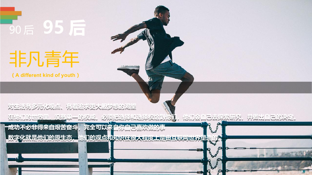 李宁运动 x 乐虎跨界营销合作方案_第8页