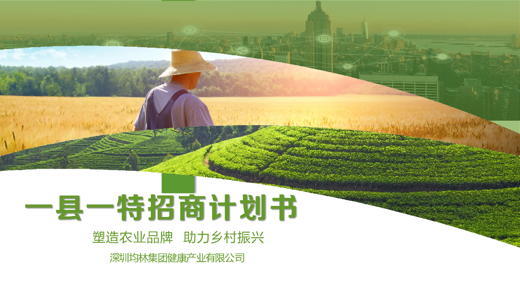 一县一特招商计划书方案