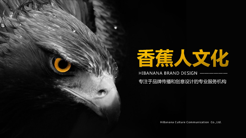 专注品牌设计与品牌传播的专业服务机构