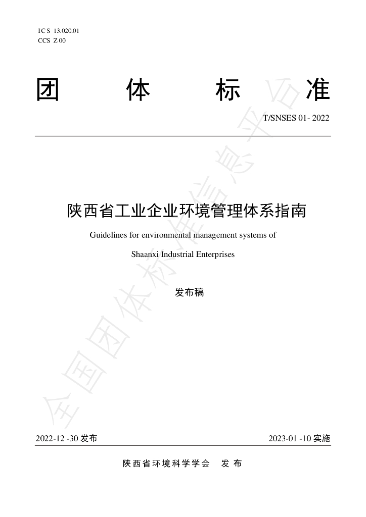 T/SNSES 01-2022 标准预览