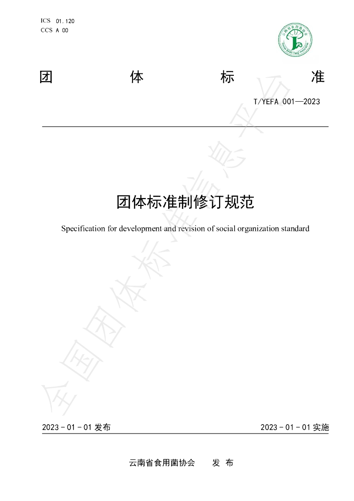 T/YEFA 001-2023 标准预览