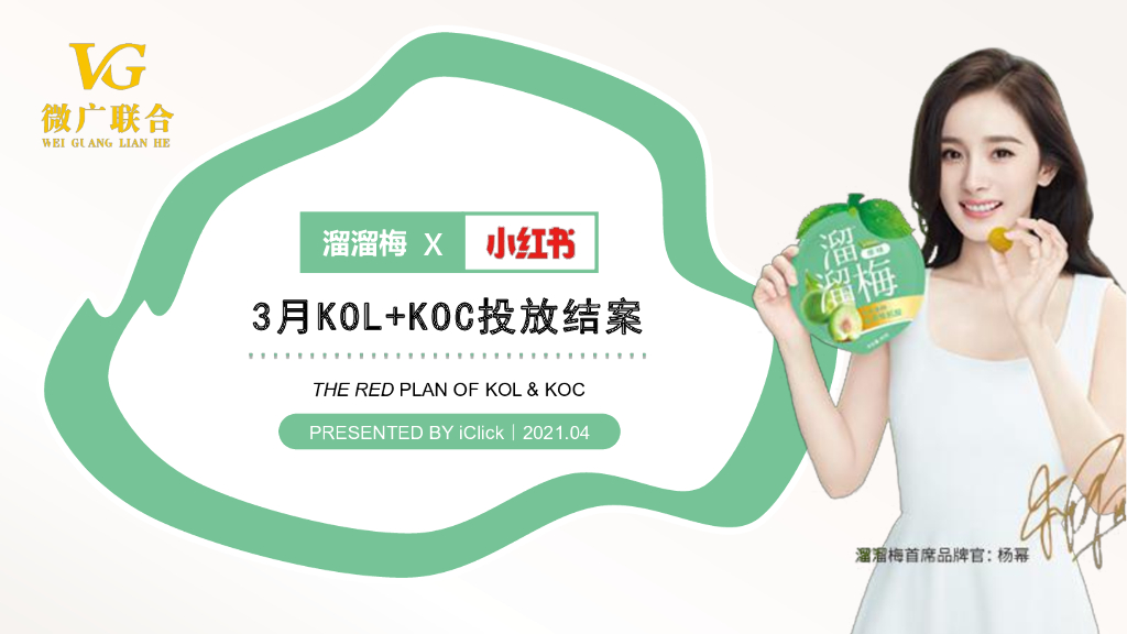 2021溜溜梅小红书KOL+KOC投放结案
