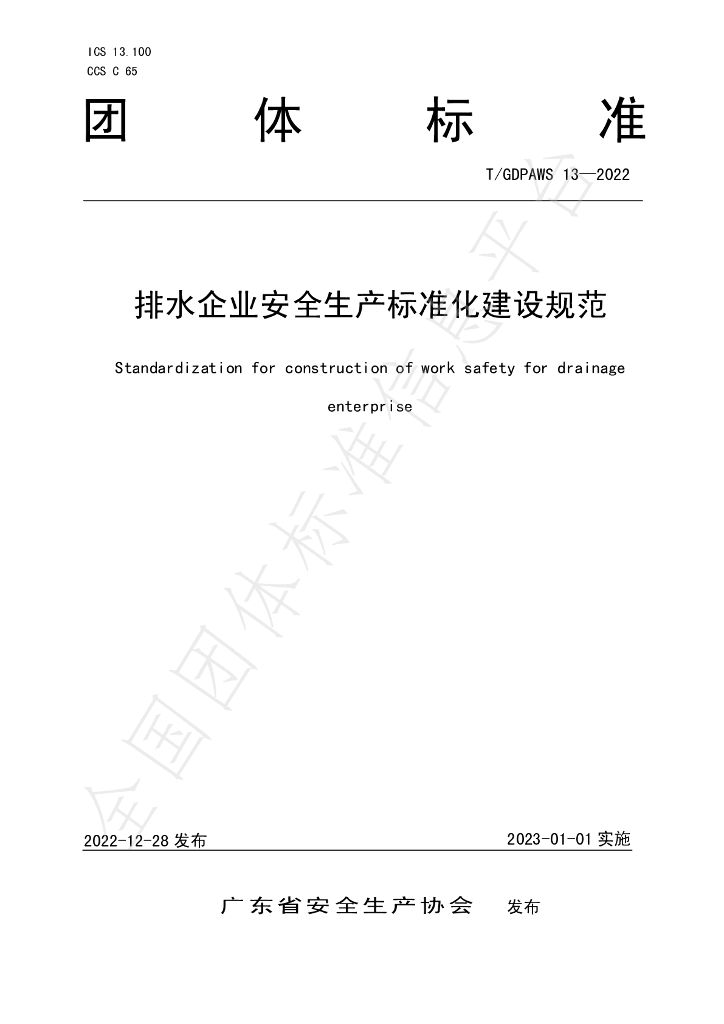 T/GDPAWS 13-2022 标准预览