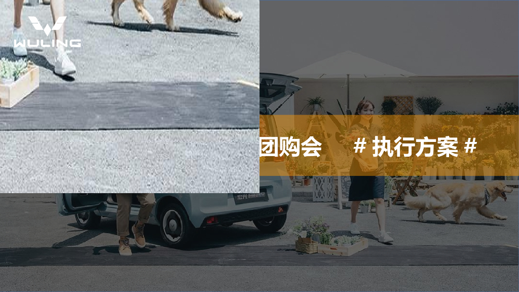 2021线上直播团购会执行方案