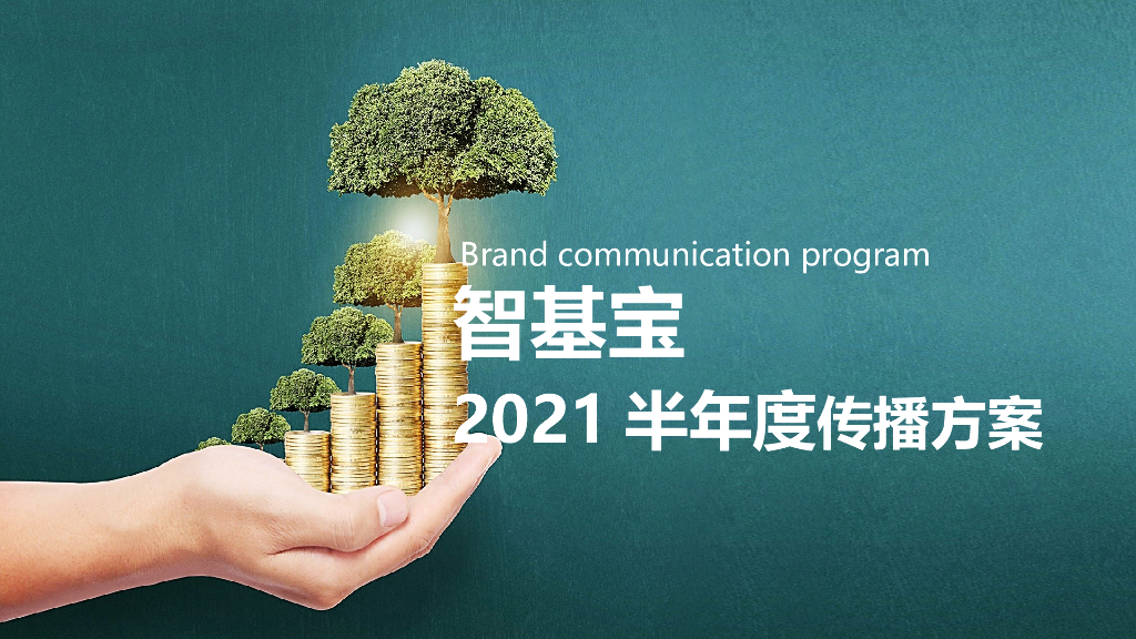 理财APP品牌2021上半年年度营销策略方案（春节、情人节、元宵）