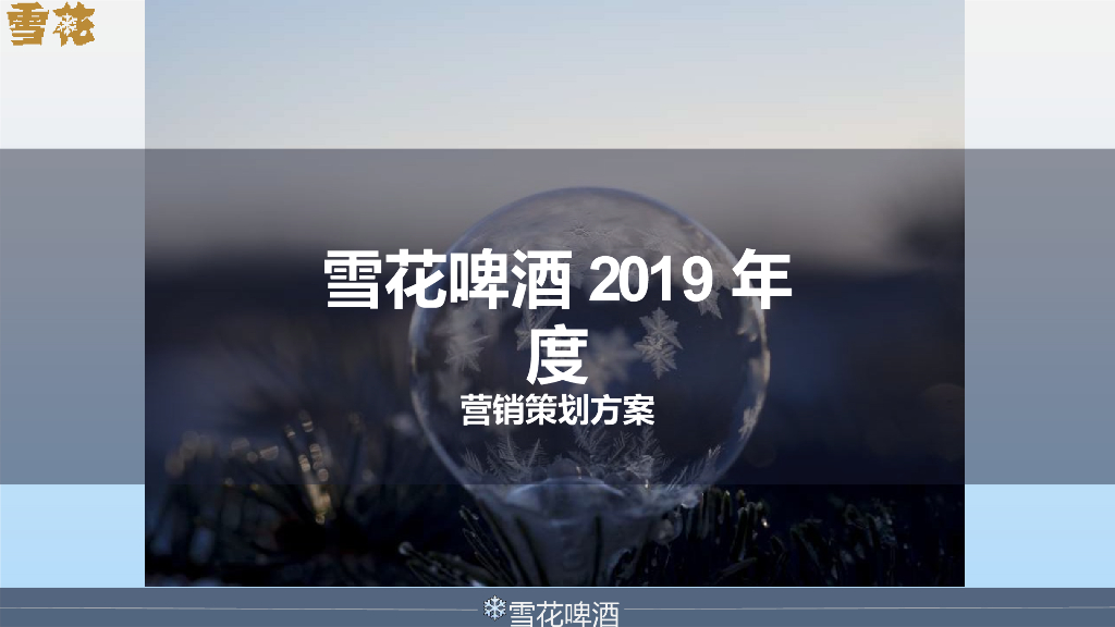 雪花啤酒年度营销策划方案