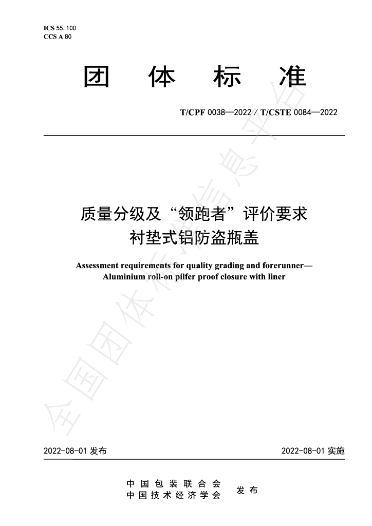 T/CPF 0038-2022 标准预览