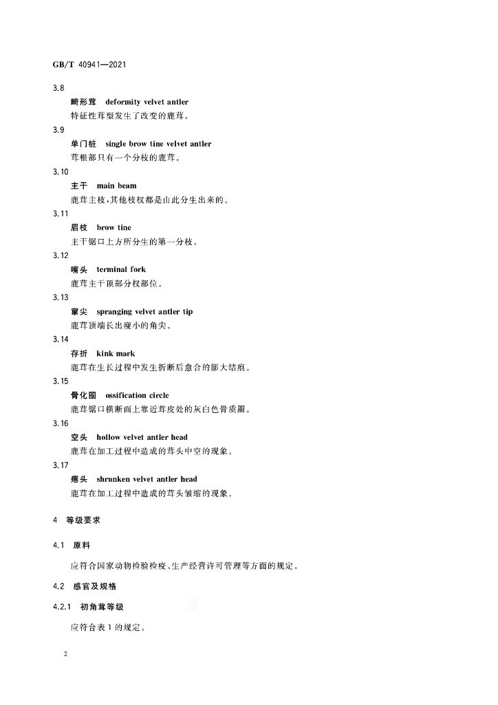 GB/T 40941-2021 标准预览