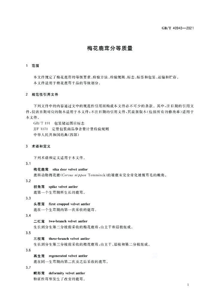 GB/T 40943-2021 标准预览