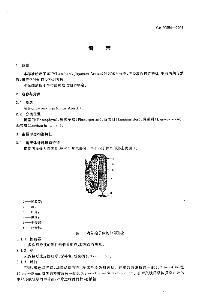 GB/T 20554-2006 标准预览