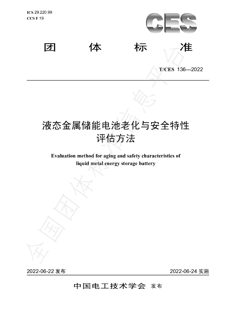 T/CES 136-2022 标准预览
