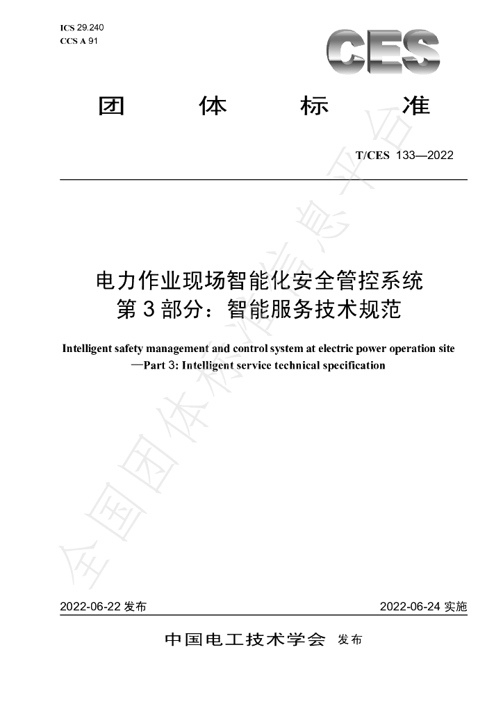 T/CES 133-2022 标准预览