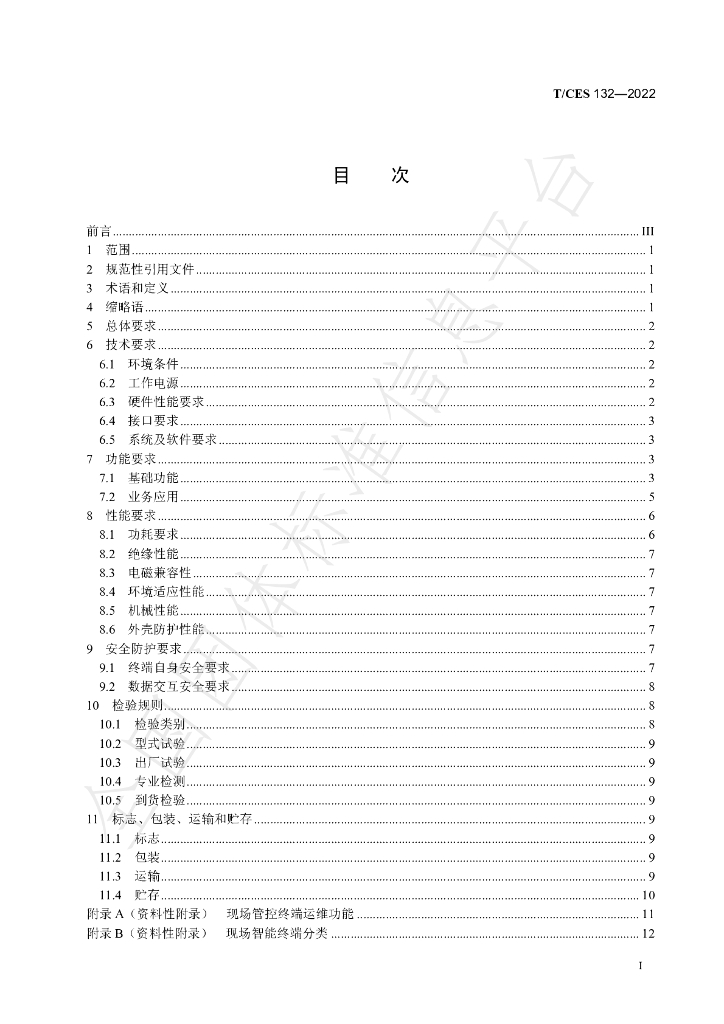 T/CES 132-2022 标准预览