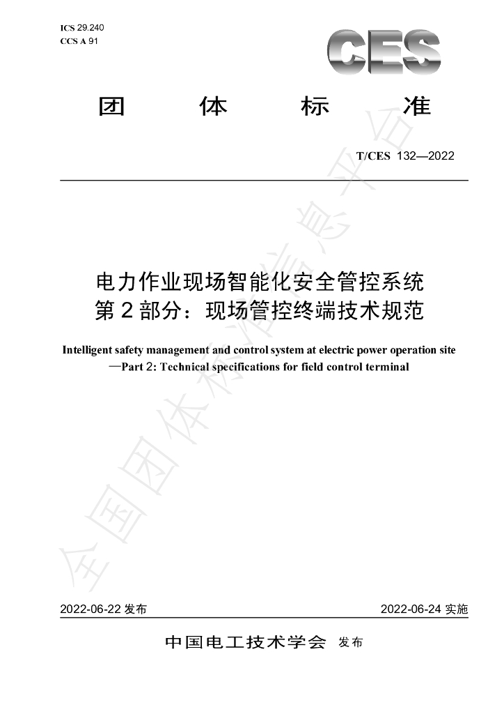 T/CES 132-2022 标准预览