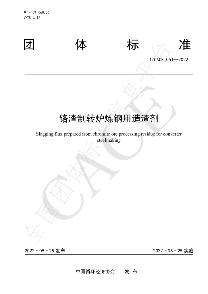 T/CACE 051-2022 标准预览