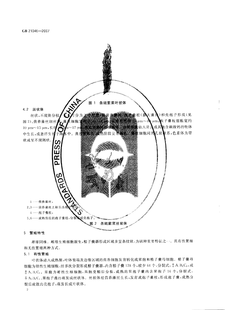 GB/T 21046-2007 标准预览