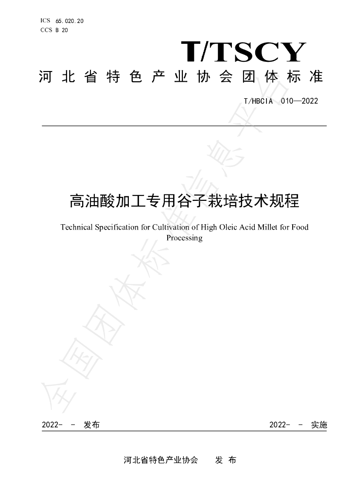 T/HBCIA 010-2022 标准预览