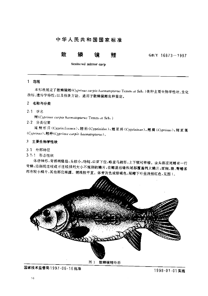 GB/T 16873-1997 标准预览