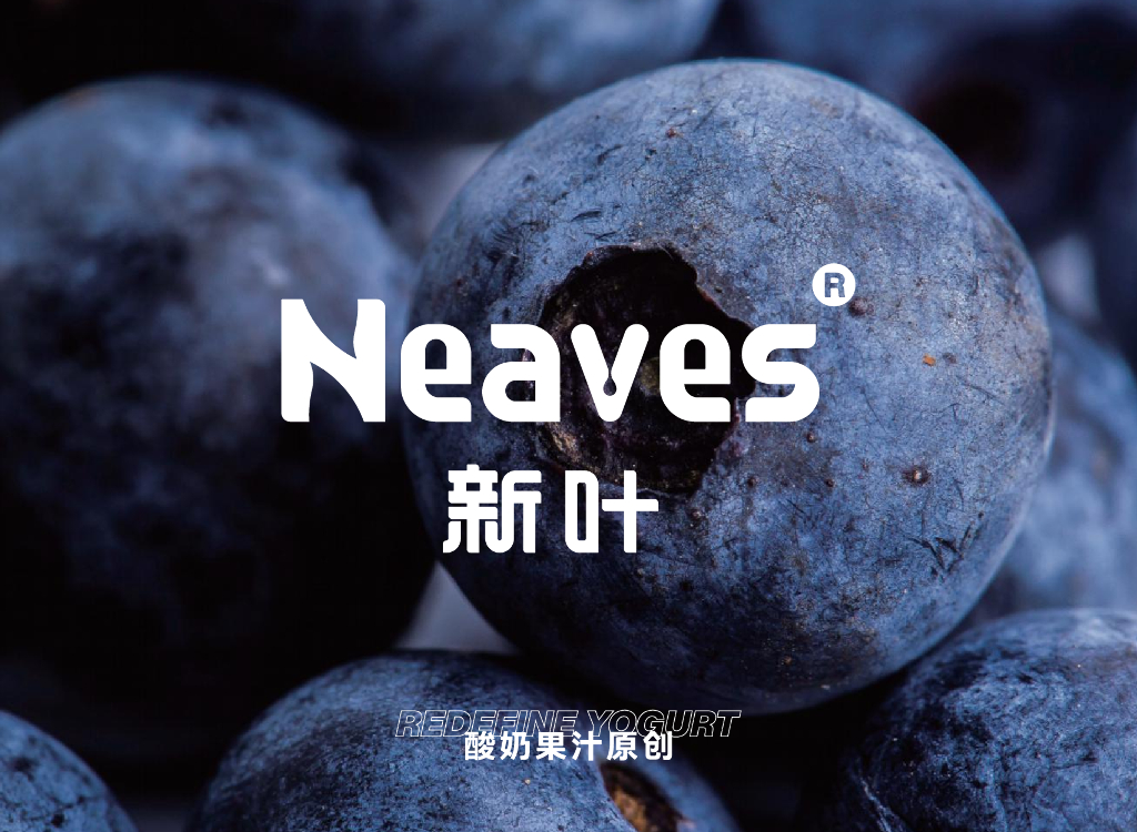 NEAVES新叶饮品品牌拓展资料方案