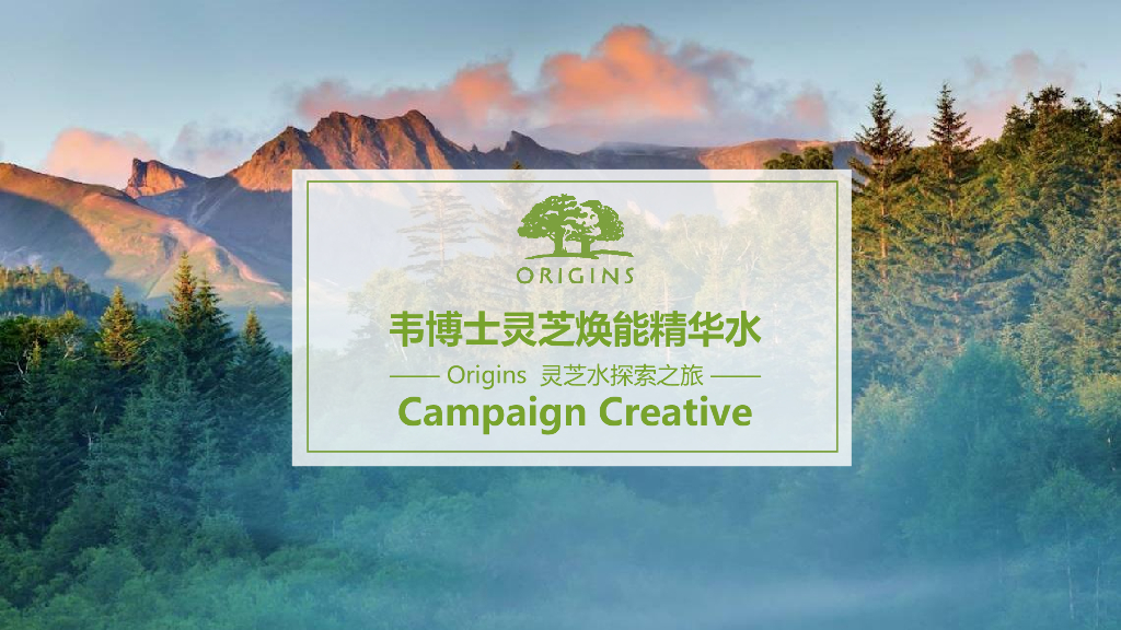 2020精华水品牌传播方案