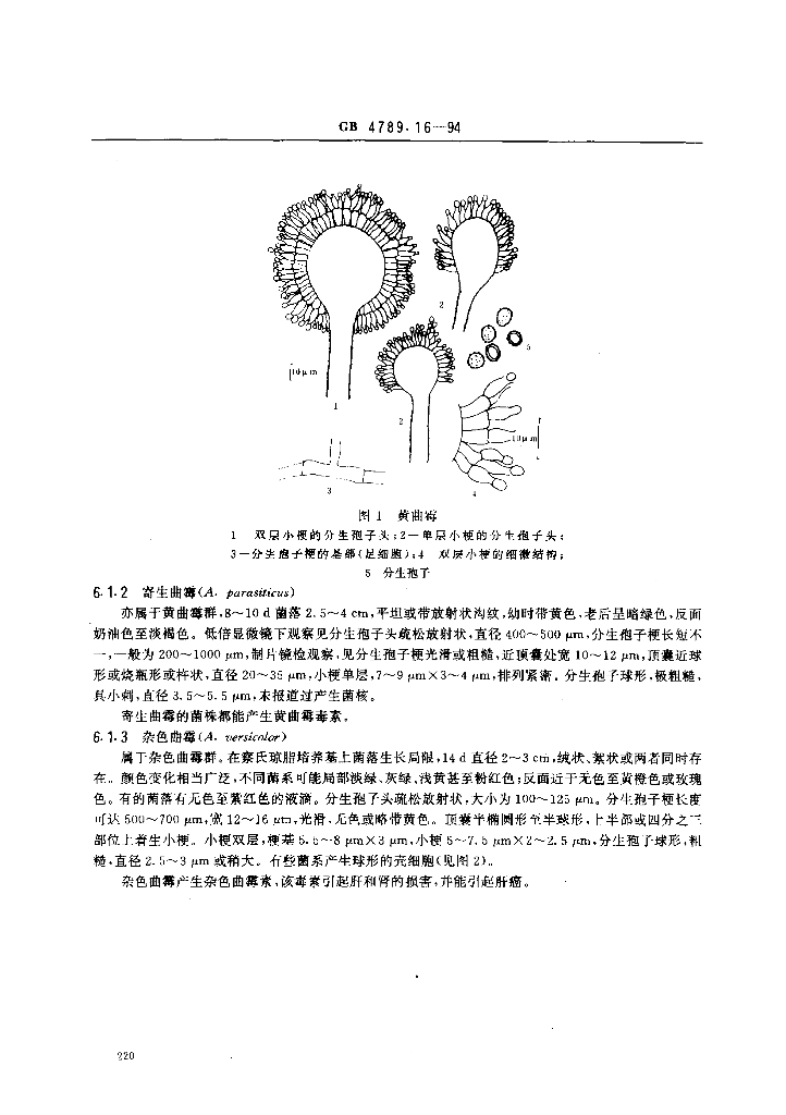 GB/T 4789.16-1994 标准预览