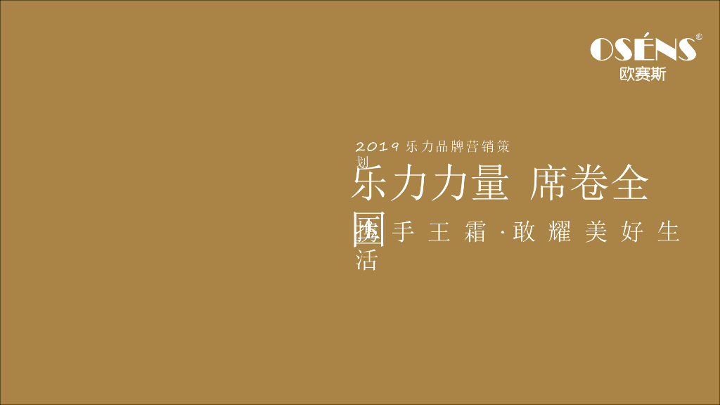 乐力数字营销策略方案