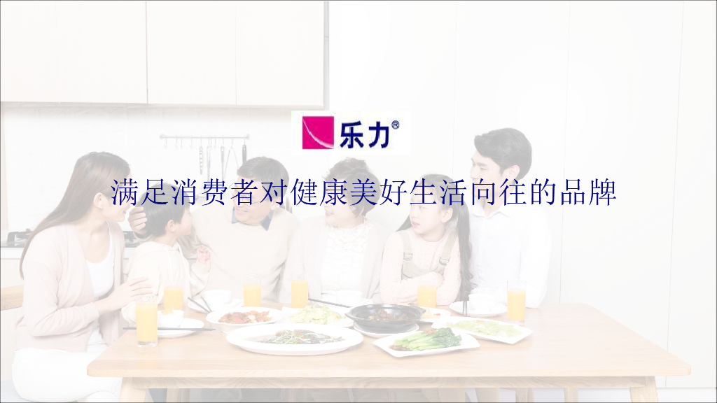 乐力数字营销策略方案_第6页