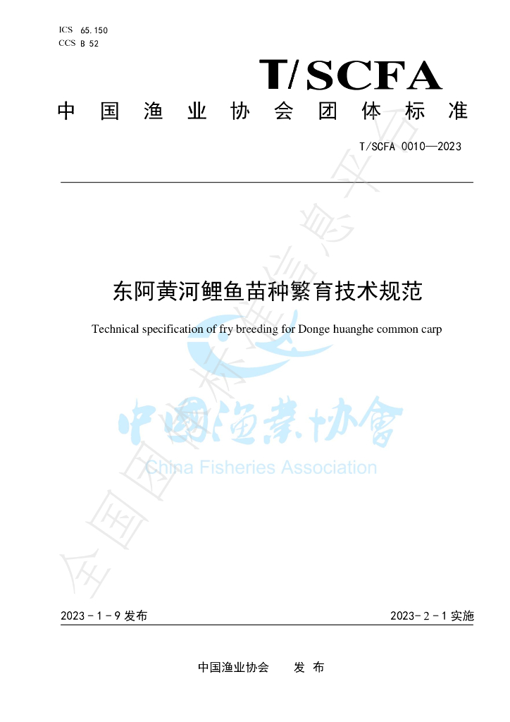 T/SCFA 0010-2023 标准预览