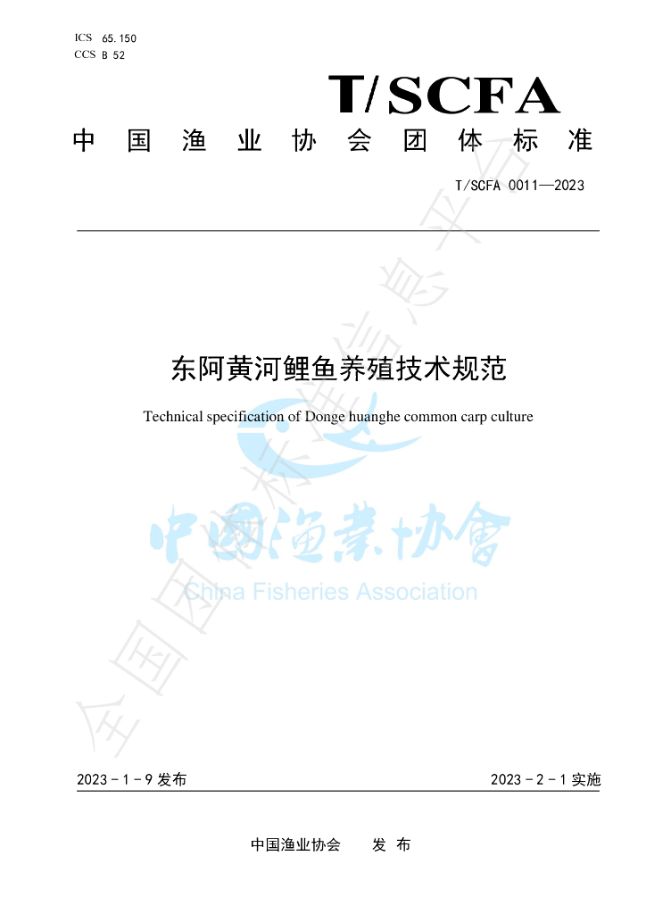 T/SCFA 0011-2023 标准预览