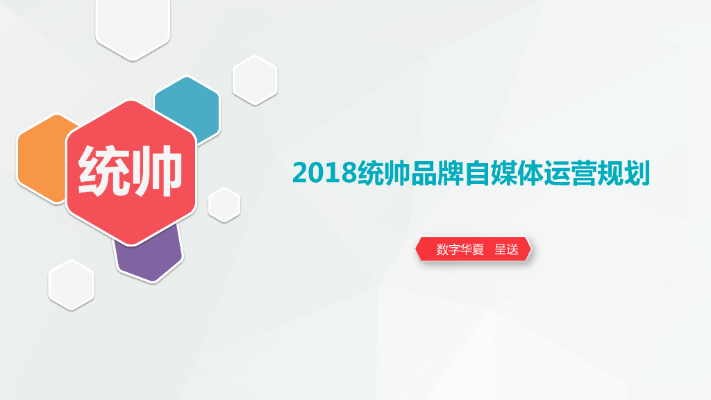 2018年统帅品牌自媒体运营规划