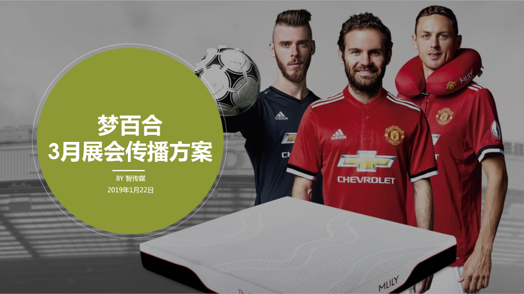 2019梦百合3月展会传播方案